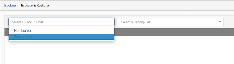sw3-4_restore_vps.png
