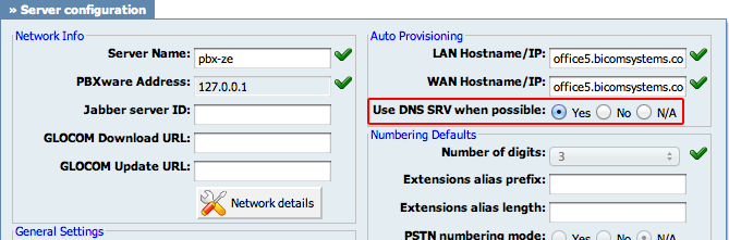 dns-srv.png